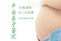 庆阳怀孕期间怎么做孕期亲子鉴定(咨询地址)