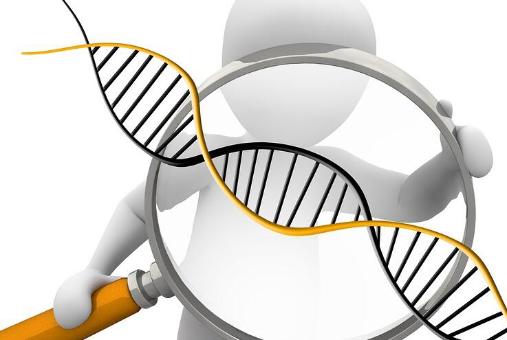 庆阳个人想做DNA亲子鉴定如何做,庆阳DNA亲子鉴定需要什么流程