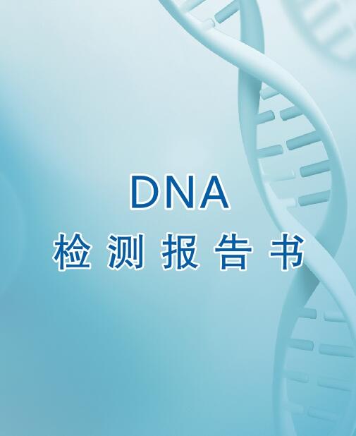 庆阳亲子鉴定流程之出具报告